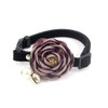 PETFAVORITES Peony Flower Cat Dog Collar Bow Tie - Suede