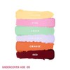 Kimchi Chic, Paleta de correctores universales Undercover Hoe