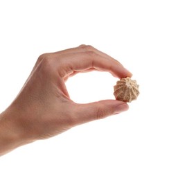 Preen Pets Chicken Organic Quinoa & Organic Coconut Oil Cookie Dog Treat (4 oz)