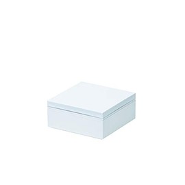 Pearl Metal D-6593 Everyday Heavy Box, 1 Tier, White with Rubber Belt