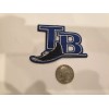 Unbranded TAMPA BAY RAYS EMBROIDERED IRON ON PATCH 3"X2"
