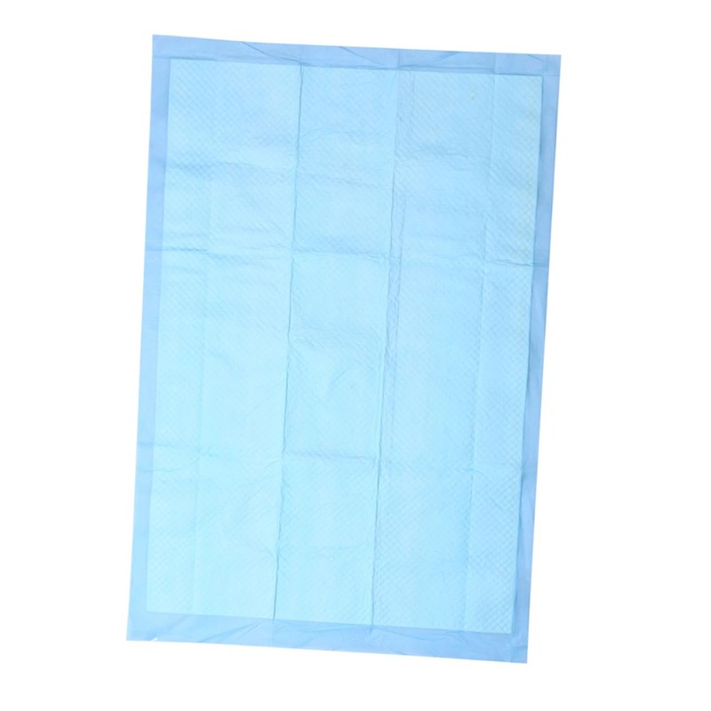 Mipcase 20Pcs Super Absorbent Pet Pads S for Puppy Training