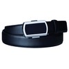 Buckle Pedometer