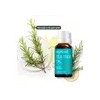 5pcs Aceite Esencial De Árbol De Té Antimicotico 100%natural