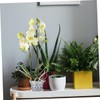 CIYODO 6sets Transparent Orchid Pots Breathable Net Pots Drainage and