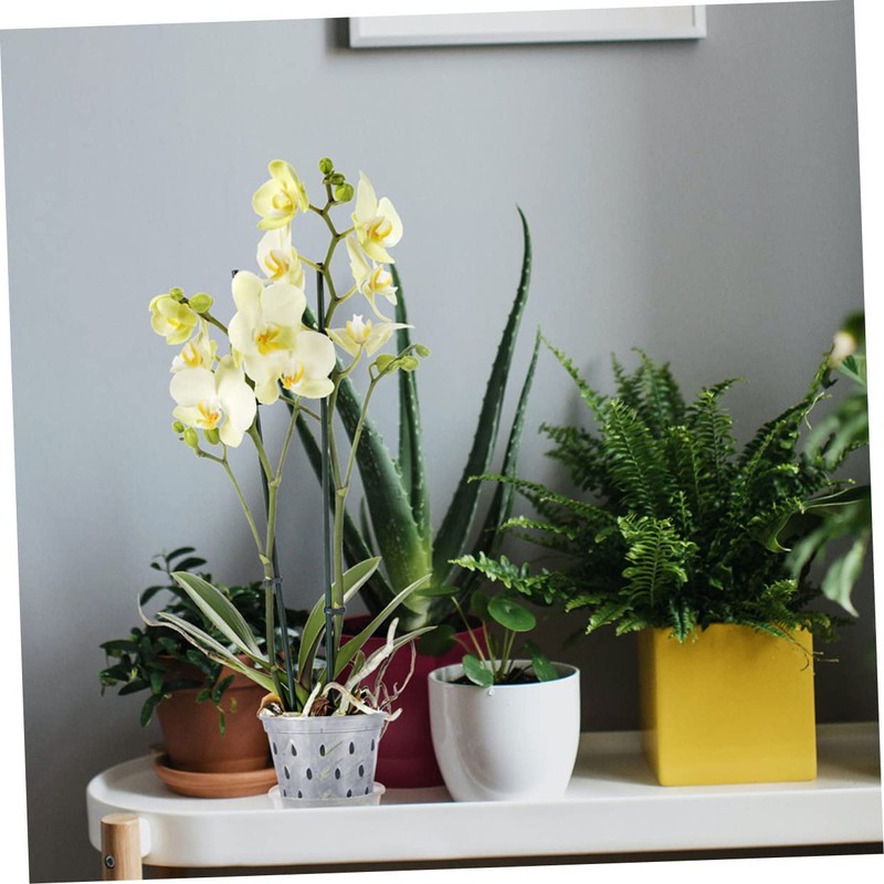 CIYODO 6sets Transparent Orchid Pots Breathable Net Pots Drainage and