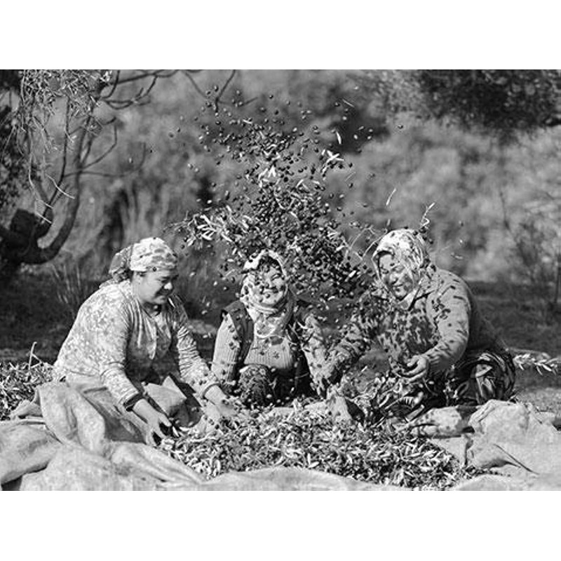 Olivos Collagen Olive Oil Soap in Canvas Bag 150 G