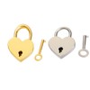 Leadigol Diary Lock and Key Set,Small Metal Heart Shaped Padlock