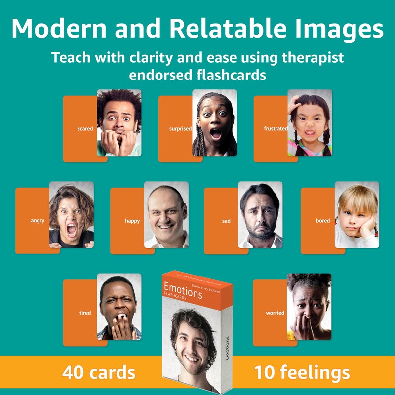 Picture My Picture Emotions Volume 1 Flash Card Set –