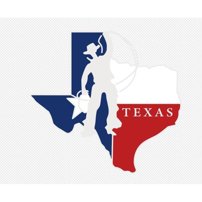 Lamatar1 Texas Souvenir Keychain Metalic (Texas Lone Star on State