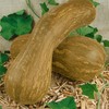 Lungo de Napoli Winter Squash Seeds - 4 g Packet