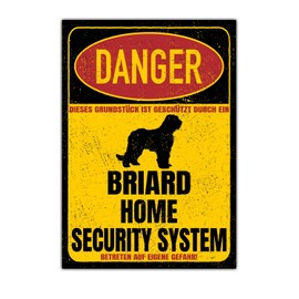 Briard Berger de Brie Dog Sign, Danger Security System, Door Sign, Dog Sign, Warning Sign