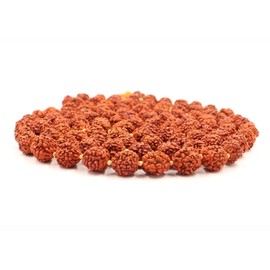 Zap Impex Rudraksha Mala Certified Natural Small Rudraksha Necklace, Original Rudraksha Mala Certificate, 5mm Rudraksha (Size: 5mm, Beads: 108+1)