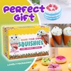 Insnug Paint Your Own Squishies Kit - Sensory Toys Squishy