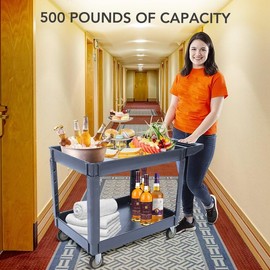 Service Cart 2-Shelf, Storage Handle, 500 lbs Capacity, for Warehouse/Garage/Cleaning/Manufacturing，45" 25" Grey