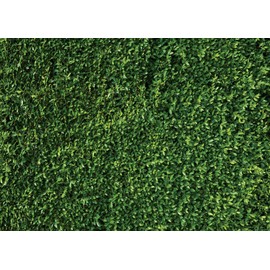 WOLADA 8x6ft Green Leaves Backdrops Microfiber Nature Leaf Backdrop Photography Birthday Background for Birthday Party Seamless Photo Booth Prop Backdrops 10923