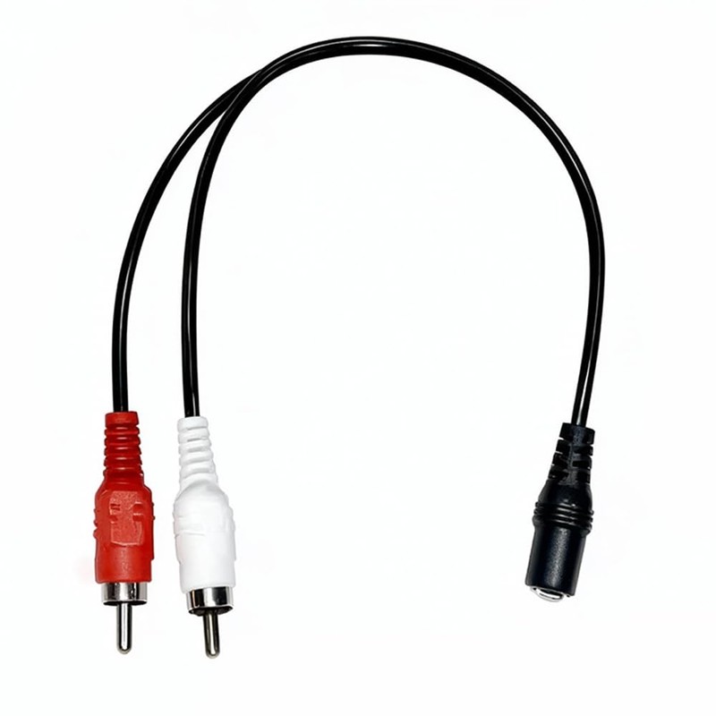 WAIRUIGOOD 40cm Audio Conversion Cable RCA Pin (2 Red and