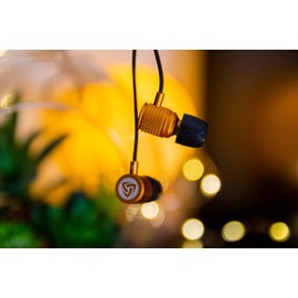 LUDOS Auriculares con cable ultra con cable sin enredos, aislamiento de ruido, carcasa de graves profundos, conector jack de 3,5 mm, color dorado