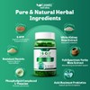 Lanomiz 14DAY Appetite & Craving Control Gut Health Complex Featuring