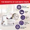 SIUHEN Pack of 10 Food Moths Clothes Moth Trap