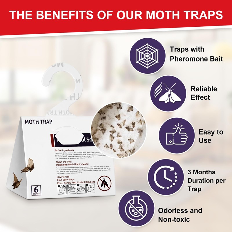 SIUHEN Pack of 10 Food Moths Clothes Moth Trap