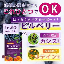 渡邊薬品 ブルーベリー ルテインプラス ビルベリー 60粒 3袋セット