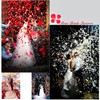 enttgo 1000 Pieces Artificial Silk Rose Petals Flower Decoration Wedding