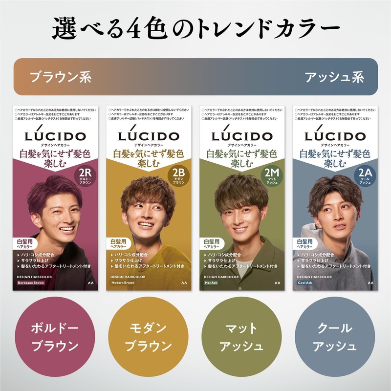 LUCIDO Cool Ash Hair Color, Cool Ash Hair Dye for