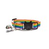 Rainbow Print Kitten Collar with Bell. Safe Quick Release Breakaway