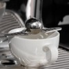 Tnfeeon Coffee Alive Extract Cooling Espresso Ice Sphere, Reusable Stainless