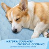 Cooling Mat for Dogs & Cats, Thick Breathable Dog Cooling