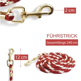 Pferdelinis Horse Lead Rope, Red, 3 Meters, Geometric Pattern