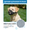 Soft Mesh Dog Muzzle 2-Pack, No Bite Escape-Proof Design, Breathable