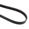 Bosch 1 987 946 238 V-Ribbed Belt