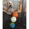 Outward Hound by Planet Dog Orbee-Tuff Planet Ball Blue/Green Treat-Dispensing