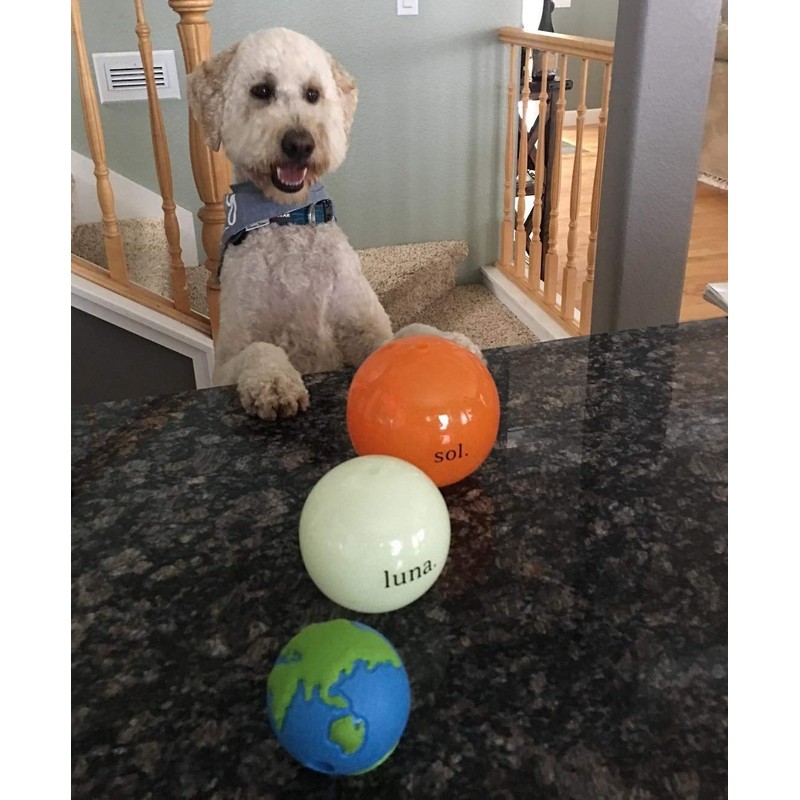 Outward Hound by Planet Dog Orbee-Tuff Planet Ball Blue/Green Treat-Dispensing