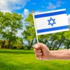 JKAVPPT 12 Pack Israel Israeli Stick Flag Small Mini Hand
