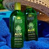 Ocean Potion Aloe Vera Gel 8.5oz