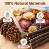 XXYOUPIN Natural Pet Nest Decorations for Small Pets, Hamster &