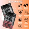 BIOTECKPHARMA| Creatina Monohidratada 100% pura sin sabor 500 grs -