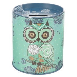 ORFOFE Cartoon Owl Pattern Piggy Bank Unique Tinplate Coin Container for Boy Girl Sturdy Money Jar for Savings Boy Girl Design