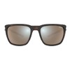 BEX® SUNGLASSES ADAMS FULL FRAME LIFESTYLE SUNGLASSES (Tortoise Brown/Brown/Silver)