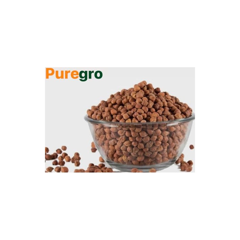 Puregro Kala Chana 500g