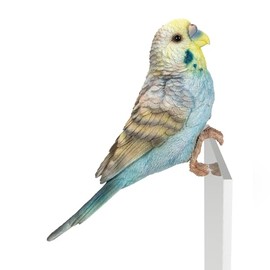 Uvia H23043-1 Border Light Blue Buddy Parrot Doll Figurine 7.1 x 7.1 x 3.3 inches (18 x 18 x 8.5 cm) Animal