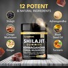 Supplmnt Shilajit Gummies 3000mg with Ashwagandha, Ginseng & Vitamins –