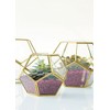 Floral Home Hira Glass Geometric Terrarium in Gold - 4.5"