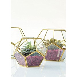 Floral Home Hira Glass Geometric Terrarium in Gold - 4.5" Tall