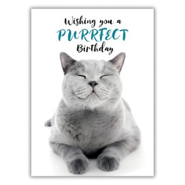 Male/Female Birthday Card for Him/Her - General Card for Men/Women - Cat - Purrfect Birthday - Photographic Design - Made in the UK - Eco-Friendly
