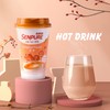 Senpure Instant Milk Tea Kit with Milk Tea Powder DIY