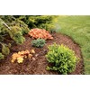 Rain Bird Drip Irrigation Micro-Bubbler Stake - 4-Pack
